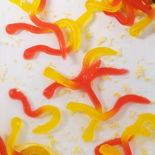 Gummy Worm Silicone Mold Pk/2