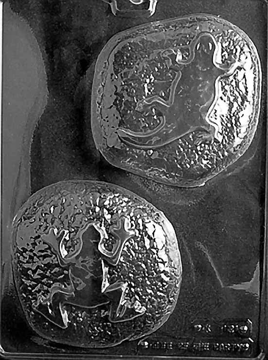 Reptile on Rock Chocolate Mold