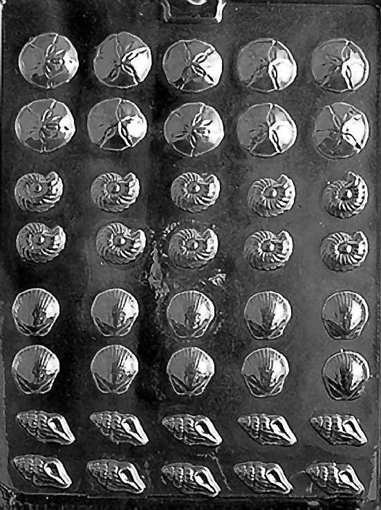 Tiny Shell Assortment Chocolate Mold