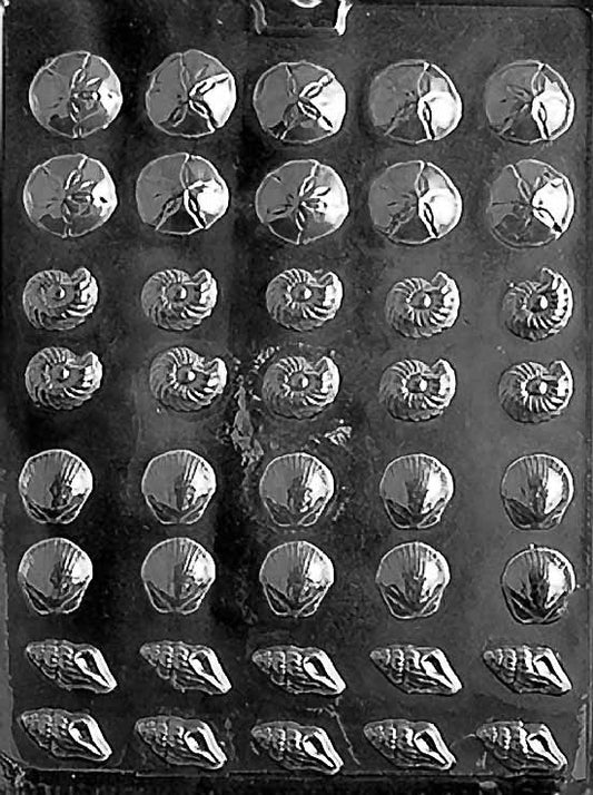 Tiny Shell Assortment Chocolate Mold